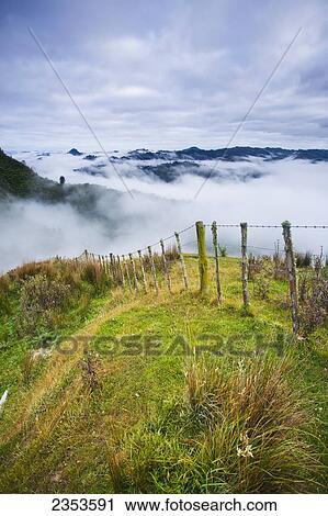 Stock Image - View From The Tops Of The Hills Over The Morning Fog At Blue Duck Lodge In The Whanganui National Park; Whakahoro, New Zealand. Fotosearch