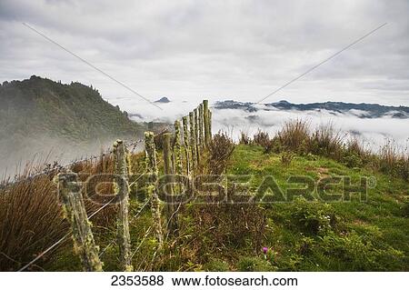 Stock Photo - View From The Tops Of The Hills Over The Morning Fog At Blue Duck Lodge In The Whanganui National Park; Whakahoro, New Zealand. Fotosearch