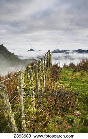 Stock Photo - View From The Tops Of The Hills Over The Morning Fog At Blue Duck Lodge In The Whanganui National Park; Whakahoro, New Zealand. Fotosearch