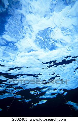 View From Underwater Looking Toward Surface, Reflections And Shadows View Large Photo Image Stock Photography - View From Underwater Looking Toward Surface, Reflections And Shadows. Fotosearch