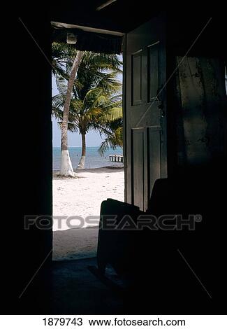 View Looking Out Of Doorway Towards Palm Tree On Beach View Large Photo Image Stock Image - View Looking Out Of Doorway Towards Palm Tree On Beach. Fotosearch