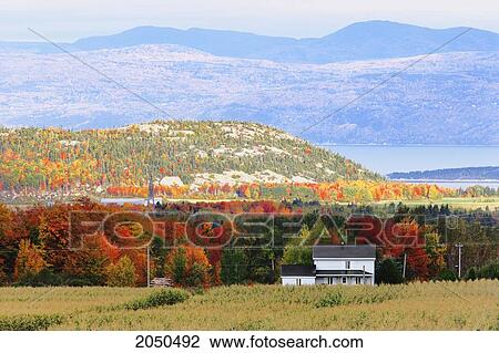 Stock Image - View Of A House Beyond A Field With St. Lawrence River And Mountains In The Background, Saint-Pascal, Bas-Saint-Laurent Region, Quebec. Fotosearch