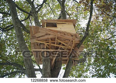 Stock Photo - View of a tree house high above the ground, Tuileries Gardens, Paris, France. Fotosearch