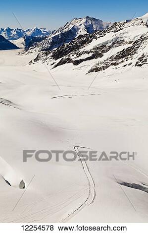 View of Aletsch Glacier from Jungfraujoch; Bernese Oberland, Switzerland View Large Photo Image Stock Photo - View of Aletsch Glacier from Jungfraujoch; Bernese Oberland, Switzerland. Fotosearch