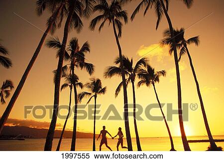 View Of Couple In Park By Beach Palm Trees, Golden Sunset. View Large Photo Image Stock Photography - View Of Couple In Park By Beach Palm Trees, Golden Sunset.. Fotosearch