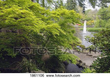 Stock Photograph - View Of Fountain And Pond Through Foliage. Fotosearch