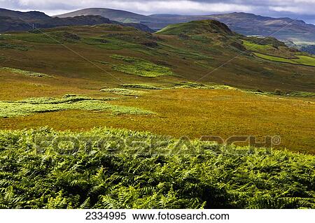 View Of Hills Of Western Lake District; Cumbria, England, Uk View Large Photo Image Stock Photography - View Of Hills Of Western Lake District; Cumbria, England, Uk. Fotosearch