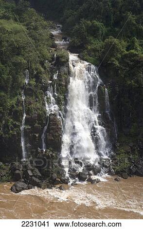 Stock Image - View Of Iguazu Falls; Brazil. Fotosearch