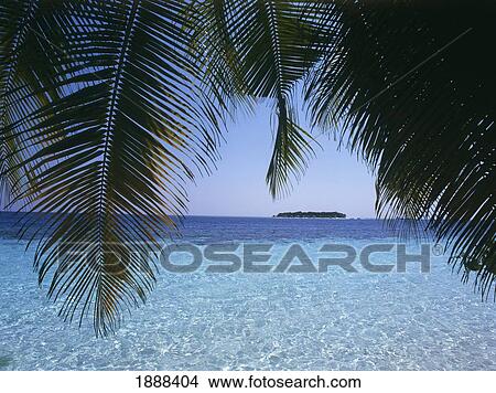 View Of Island And Palm Tree Leaves View Large Photo Image Picture - View Of Island And Palm Tree Leaves. Fotosearch