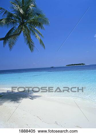 View Of Island And Palm Trees View Large Photo Image Stock Photography - View Of Island And Palm Trees. Fotosearch