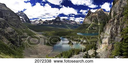 View Of Lake O'hara On The Wiwaxy Trail, Yoho National Park, British Columbia, Canada View Large Photo Image Stock Photo - View Of Lake O'hara On The Wiwaxy Trail, Yoho National Park, British Columbia, Canada. Fotosearch