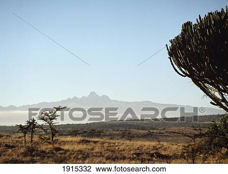 View Of Mount Kenya View Large Photo Image Stock Image - View Of Mount Kenya. Fotosearch