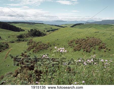 Stock Photography - View Of Raglan Hills. Fotosearch