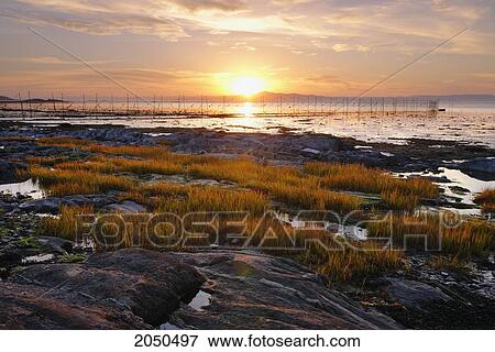 Stock Photo - View Of Rocky Shore And Eel Fishery In St. Lawrence River At Sunset, Kamouraska Village, Bas-Saint-Laurent Region, Quebec. Fotosearch