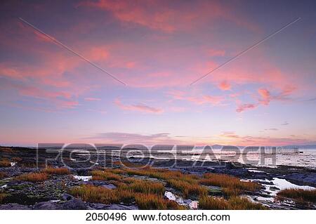 Stock Photograph - View Of Rocky Shore And Eel Fishery In St. Lawrence River At Sunset, Kamouraska Village, Bas-Saint-Laurent Region, Quebec. Fotosearch