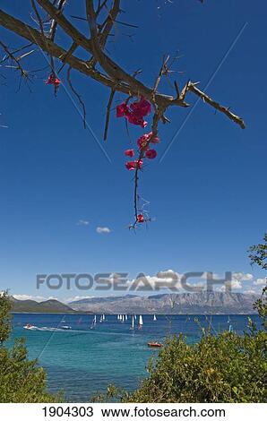 Stock Image - View Of Sailboats At Sea From Coast, Lefkas, Ionian Islands, Greece. Fotosearch