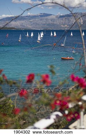 Stock Image - View Of Sailboats At Sea Through Flowering Branches, Lefkas, Ionian Islands, Greece. Fotosearch