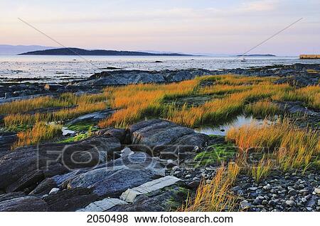View Of Shore And St. Lawrence River, Kamouraska Village, Bas-Saint-Laurent Region, Quebec View Large Photo Image Stock Photo - View Of Shore And St. Lawrence River, Kamouraska Village, Bas-Saint-Laurent Region, Quebec. Fotosearch
