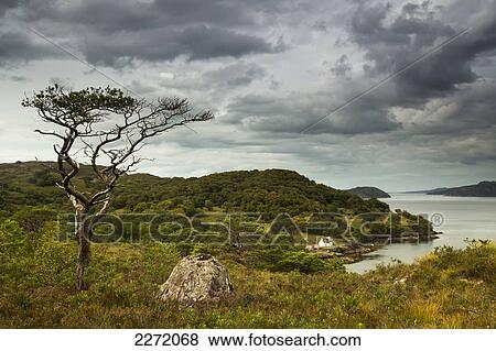 Stock Photo - View Of The Coastline Under A Cloudy Sky; Applecross Peninsula Scotland. Fotosearch