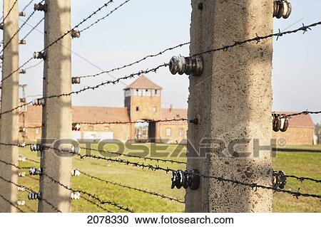 View Of The Main Guard House Through The Electrified Barbed Wire Fence Separating Sections Of The Auschwitz-Birkenau Concentration Camp, Oswiecim, Malopolska, Poland View Large Photo Image Stock Image - View Of The Main Guard House Through The Electrified Barbed Wire Fence Separating Sections Of The Auschwitz-Birkenau Concentration Camp, Oswiecim, Malopolska, Poland. Fotosearch