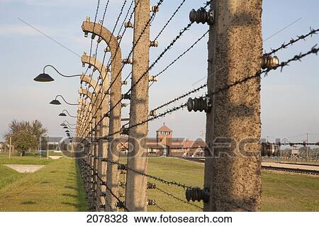 View Of The Main Guard House Through The Electrified Barbed Wire Fence Separating Sections Of The Auschwitz-Birkenau Concentration Camp, Oswiecim, Malopolska, Poland View Large Photo Image Stock Photo - View Of The Main Guard House Through The Electrified Barbed Wire Fence Separating Sections Of The Auschwitz-Birkenau Concentration Camp, Oswiecim, Malopolska, Poland. Fotosearch