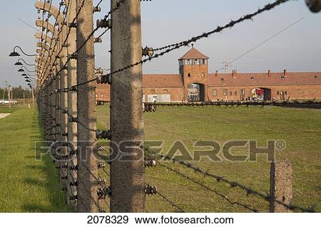 View Of The Main Guard House Through The Electrified Barbed Wire Fence Separating Sections Of The Auschwitz-Birkenau Concentration Camp, Oswiecim, Malopolska, Poland View Large Photo Image Stock Photo - View Of The Main Guard House Through The Electrified Barbed Wire Fence Separating Sections Of The Auschwitz-Birkenau Concentration Camp, Oswiecim, Malopolska, Poland. Fotosearch