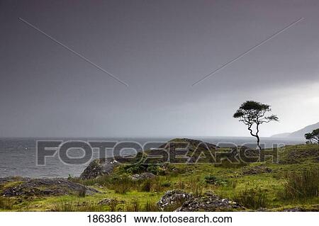 View Of The Water; Strontian, Highland, Scotland View Large Photo Image Stock Image - View Of The Water; Strontian, Highland, Scotland. Fotosearch