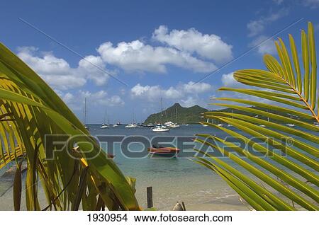 View Of Tyrell Bay Through Palm Frawns. A Boat Sits In The Water; Grenada, Caribbean View Large Photo Image Picture - View Of Tyrell Bay Through Palm Frawns. A Boat Sits In The Water; Grenada, Caribbean. Fotosearch
