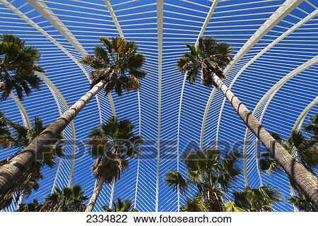 View Of Umbracle And Palm Trees In Ciudad De Las Artes Y Las Ciencias (City Of Arts And Sciences); Valencia, Spain View Large Photo Image Stock Image - View Of Umbracle And Palm Trees In Ciudad De Las Artes Y Las Ciencias (City Of Arts And Sciences); Valencia, Spain. Fotosearch