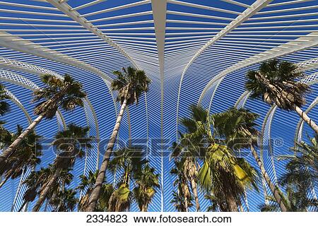 View Of Umbracle And Palm Trees In Ciudad De Las Artes Y Las Ciencias (City Of Arts And Sciences); Valencia, Spain View Large Photo Image Stock Image - View Of Umbracle And Palm Trees In Ciudad De Las Artes Y Las Ciencias (City Of Arts And Sciences); Valencia, Spain. Fotosearch