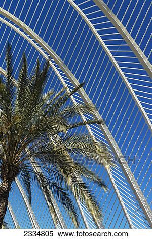 Stock Photography - View Of Umbracle And Palm Trees In Ciudad De Las Artes Y Las Ciencias (City Of Arts And Sciences); Valencia, Spain. Fotosearch