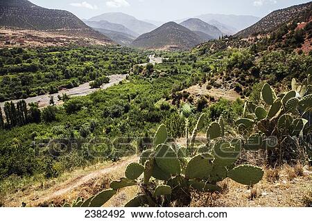 View of valley and mountains, near Asni, Atlas Mountains; Morocco View Large Photo Image Stock Image - View of valley and mountains, near Asni, Atlas Mountains; Morocco. Fotosearch