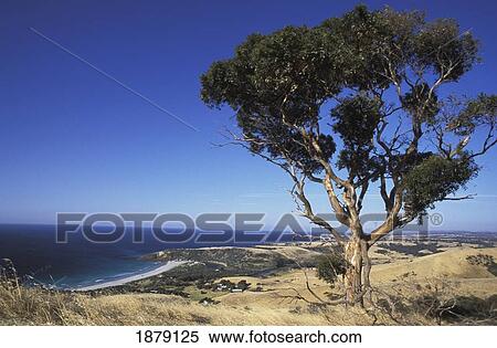 Stock Photography - View On Snelling Beach From Sky House. Fotosearch