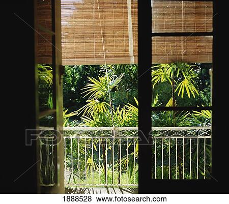View Out Of Window Towards Vegetation And Balcony View Large Photo Image Stock Photo - View Out Of Window Towards Vegetation And Balcony. Fotosearch