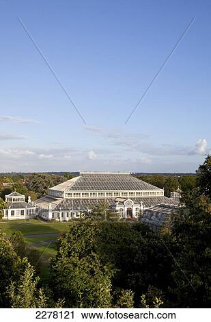 Stock Image - View over Kew Gardens from the Treetop Walkway; London, England. Fotosearch