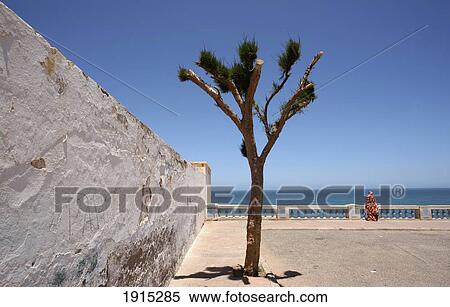 Stock Photography - View Over Sea. Fotosearch