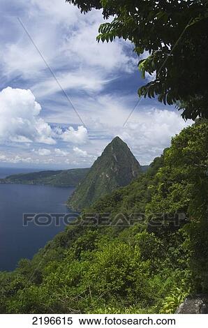 View Through Forest Clearing On Gros Piton Looking Up The West Coast Towards Petit Piton And Beyond, St Lucia. View Large Photo Image Stock Photography - View Through Forest Clearing On Gros Piton Looking Up The West Coast Towards Petit Piton And Beyond, St Lucia.. Fotosearch