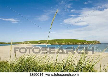 View Through Grass Of Empty Sandy Beach View Large Photo Image Picture - View Through Grass Of Empty Sandy Beach. Fotosearch