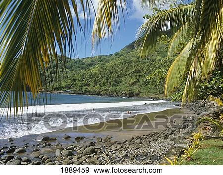 Stock Photo - View Through Palm Leaves Of Beach And Tree Covered Mountains. Fotosearch