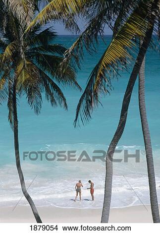 View Through Palm Trees Of Couple On Bottom Bay Beach View Large Photo Image Picture - View Through Palm Trees Of Couple On Bottom Bay Beach. Fotosearch