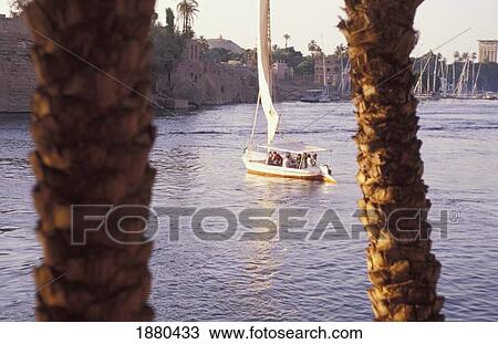Stock Image - View Through Trees Of Felucca And Elephantine Island. Fotosearch