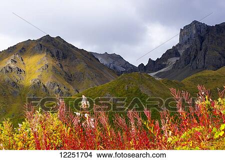 Picture - View to Jumbo Copper Mine; Kennicott, Alaska, United States of America. Fotosearch
