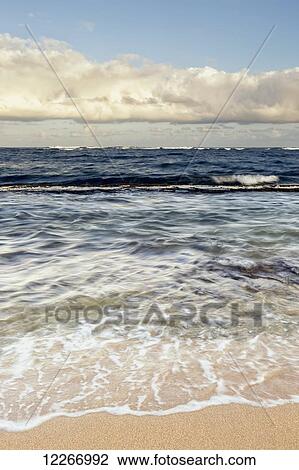 View to the ocean from Coconut Beach; Kapaa, Kauai, Hawaii, United States of America View Large Photo Image Stock Image - View to the ocean from Coconut Beach; Kapaa, Kauai, Hawaii, United States of America. Fotosearch