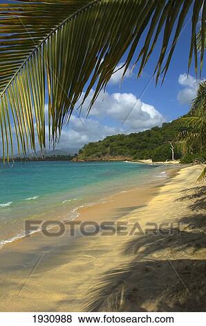 Stock Photo - View Under Palm Frawns Of Dr Groom's Beach; Carriacou Island, Grenada. Fotosearch