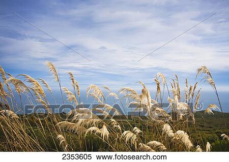 Stock Photography - Viewpoint From On Top Of Bluff Hill, With Stewart Island In The Distance; Bluff, New Zealand. Fotosearch