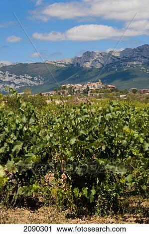 Stock Image - Views Of Vineyards And The Medieval Village Of Laguardia, Basque Country, Spain. Fotosearch