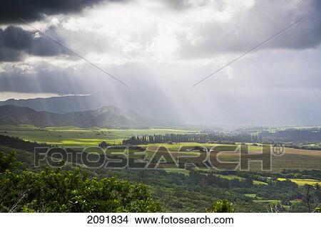 Picture - Views Overlooking The Kipu Ranch; Kauai, Hawaii, Usa. Fotosearch