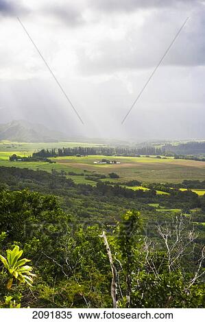 Stock Photography - Views Overlooking The Kipu Ranch; Kauai, Hawaii, Usa. Fotosearch