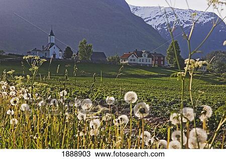Village At Mountain Base And Dandelion Clocks View Large Photo Image Stock Image - Village At Mountain Base And Dandelion Clocks. Fotosearch