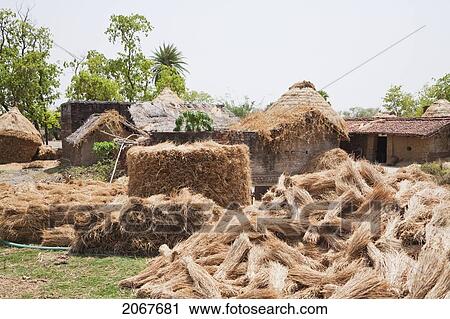 Village In The Barabar Area, Bihar, India View Large Photo Image Stock Image - Village In The Barabar Area, Bihar, India. Fotosearch